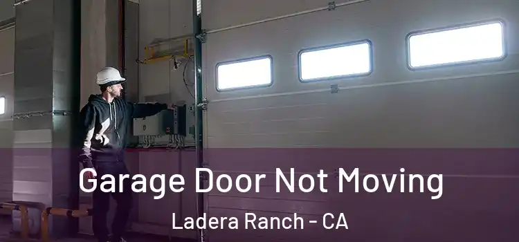  Garage Door Not Moving Ladera Ranch - CA
