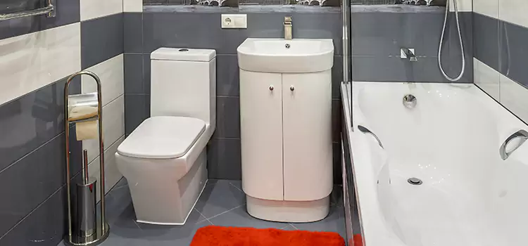 Hansgrohe Shaving Mirror Ladera Ranch